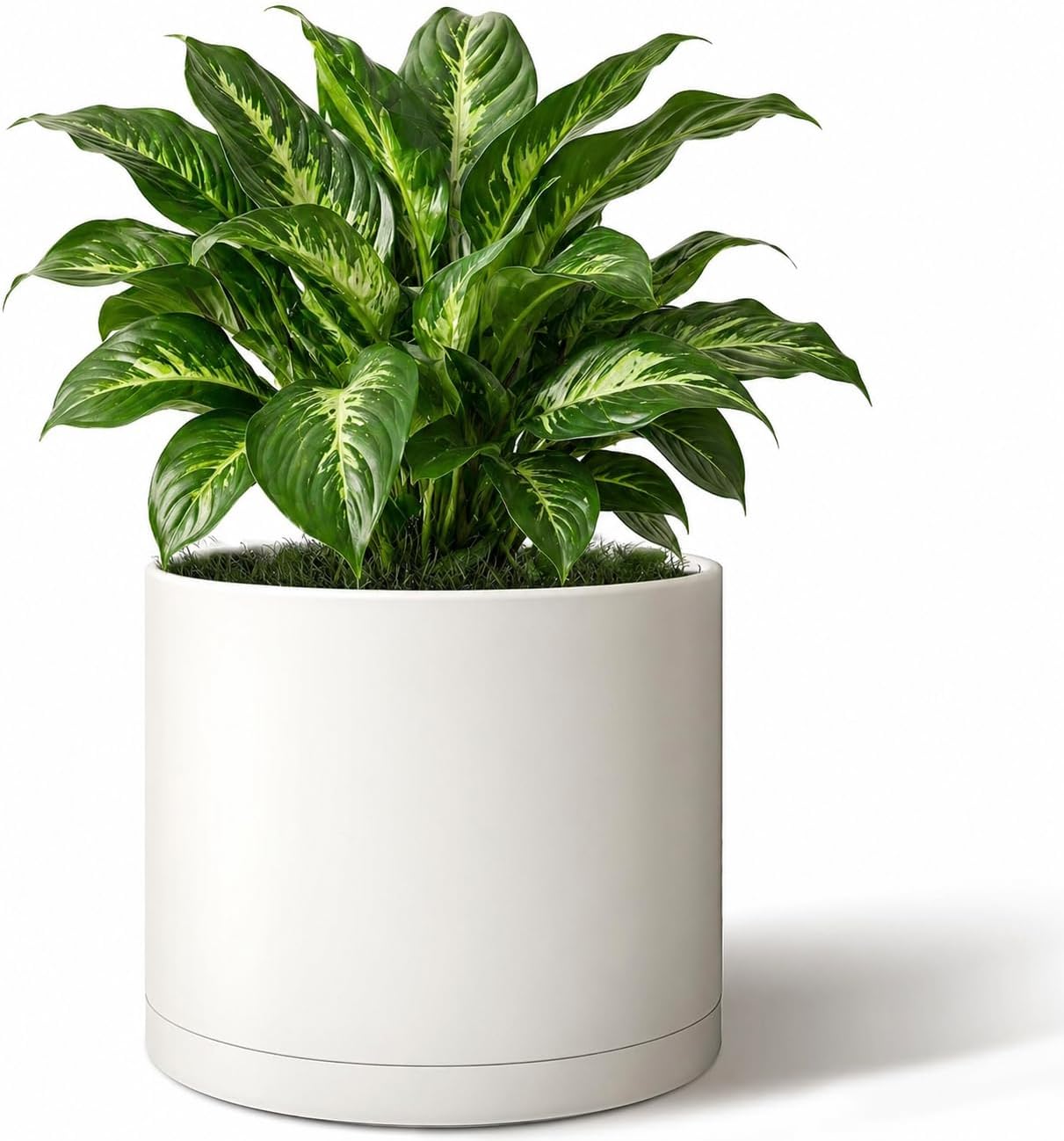White 10 inch cylinder plant pot