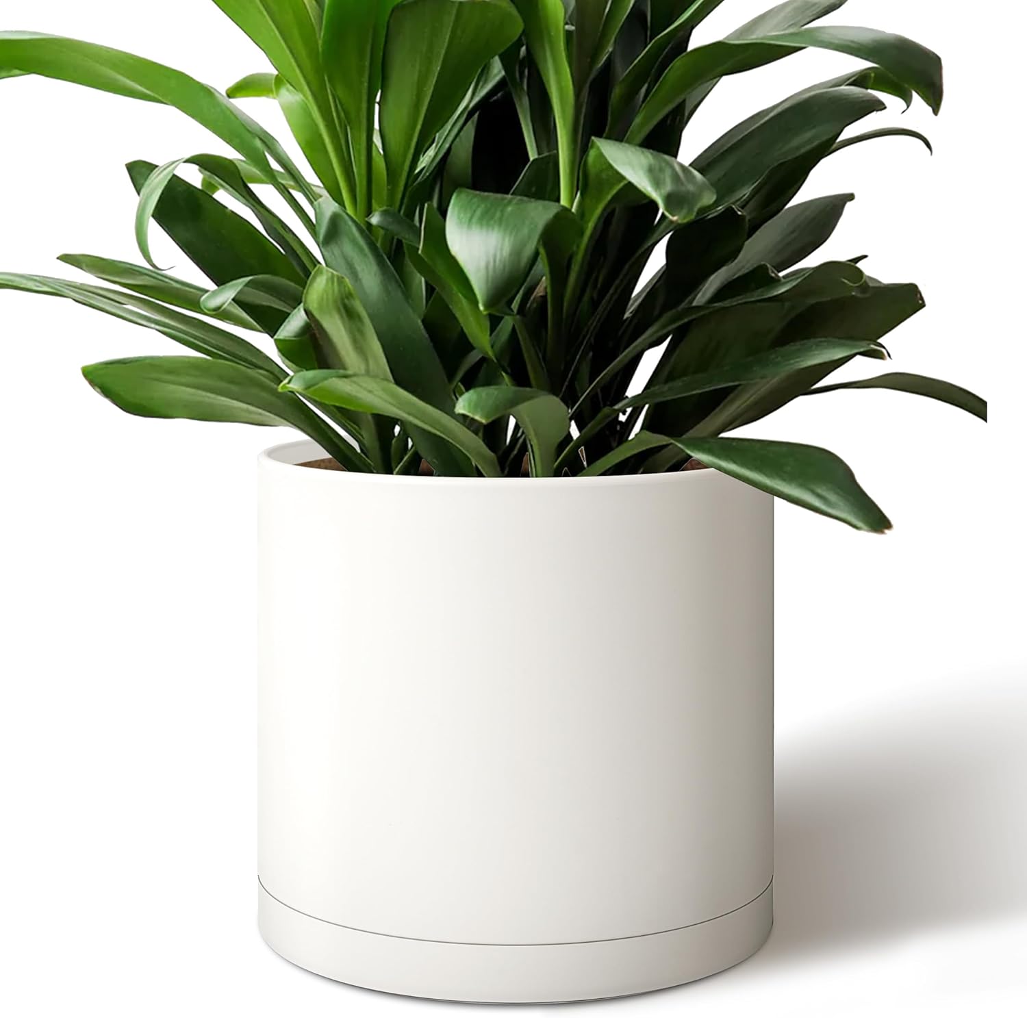 White 12 inch cylinder plant pot
