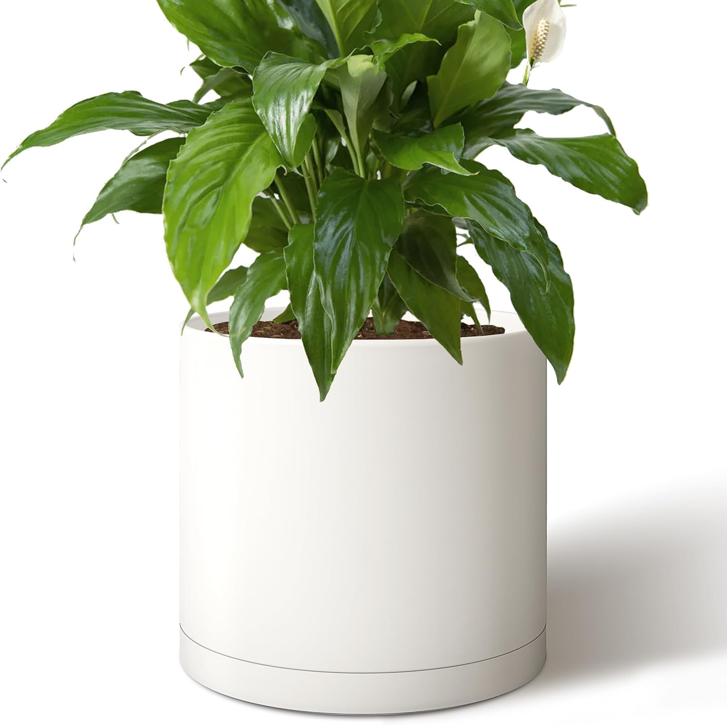 White 14 inch cylinder plant pot