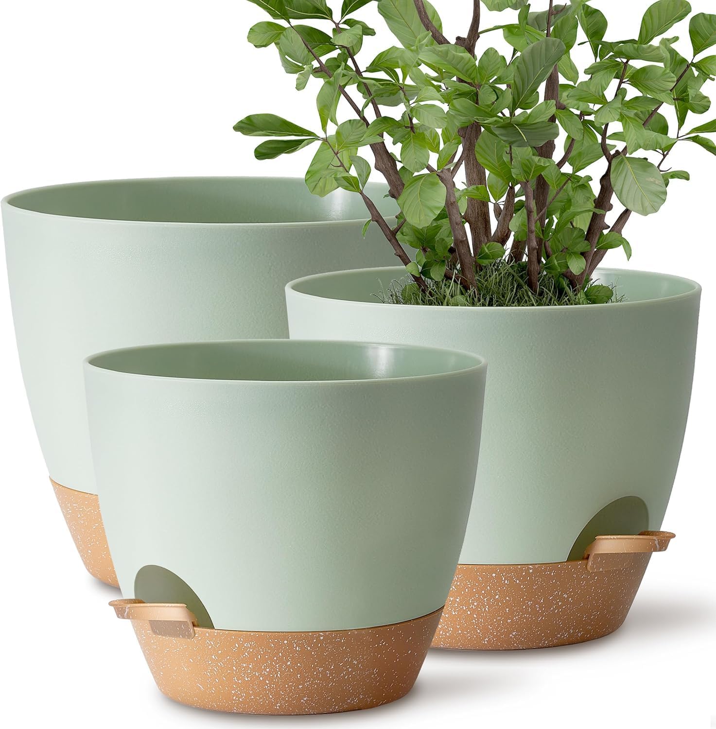 Green self-watering plant pot set