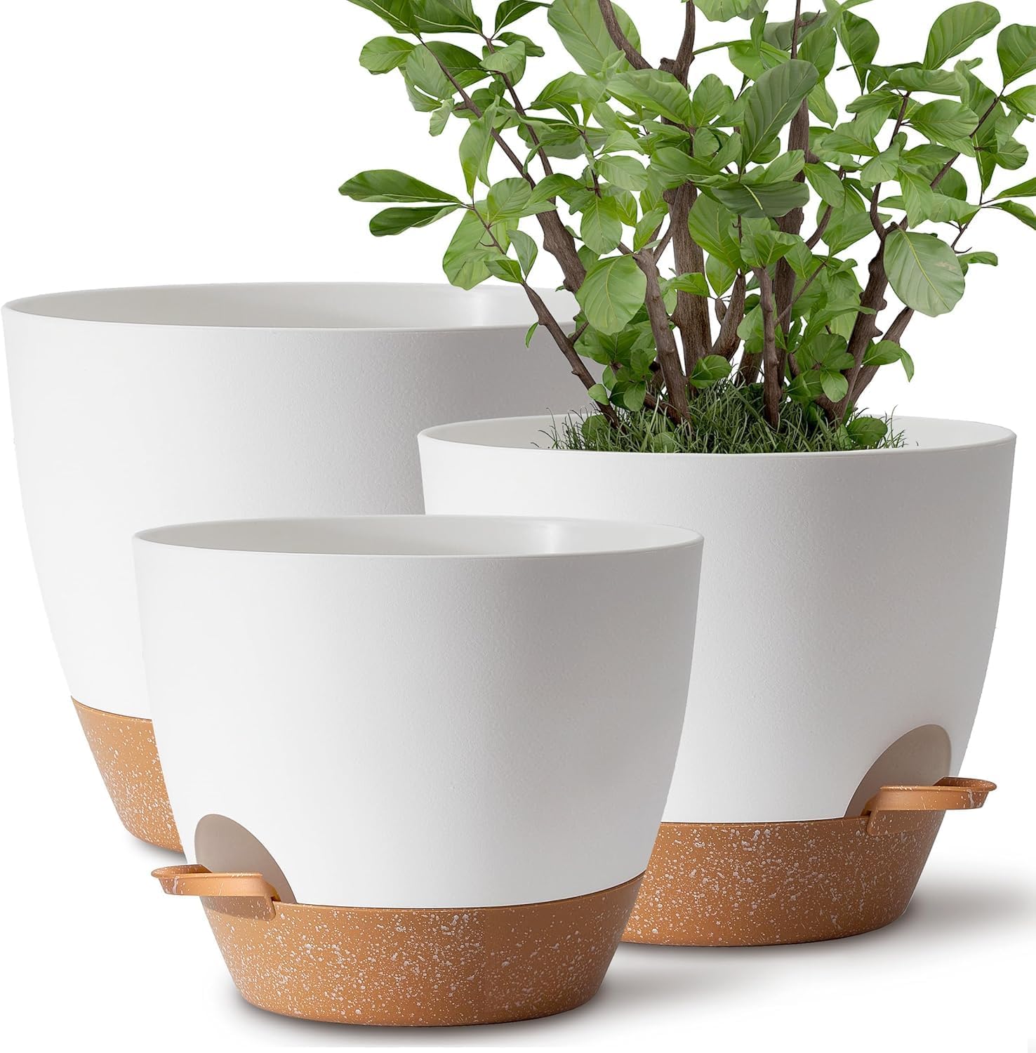 White self-watering plant pots in 12 10 and 9 inch sizes